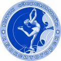 Значок "Каток Зеркальный" г. Бокситогорск